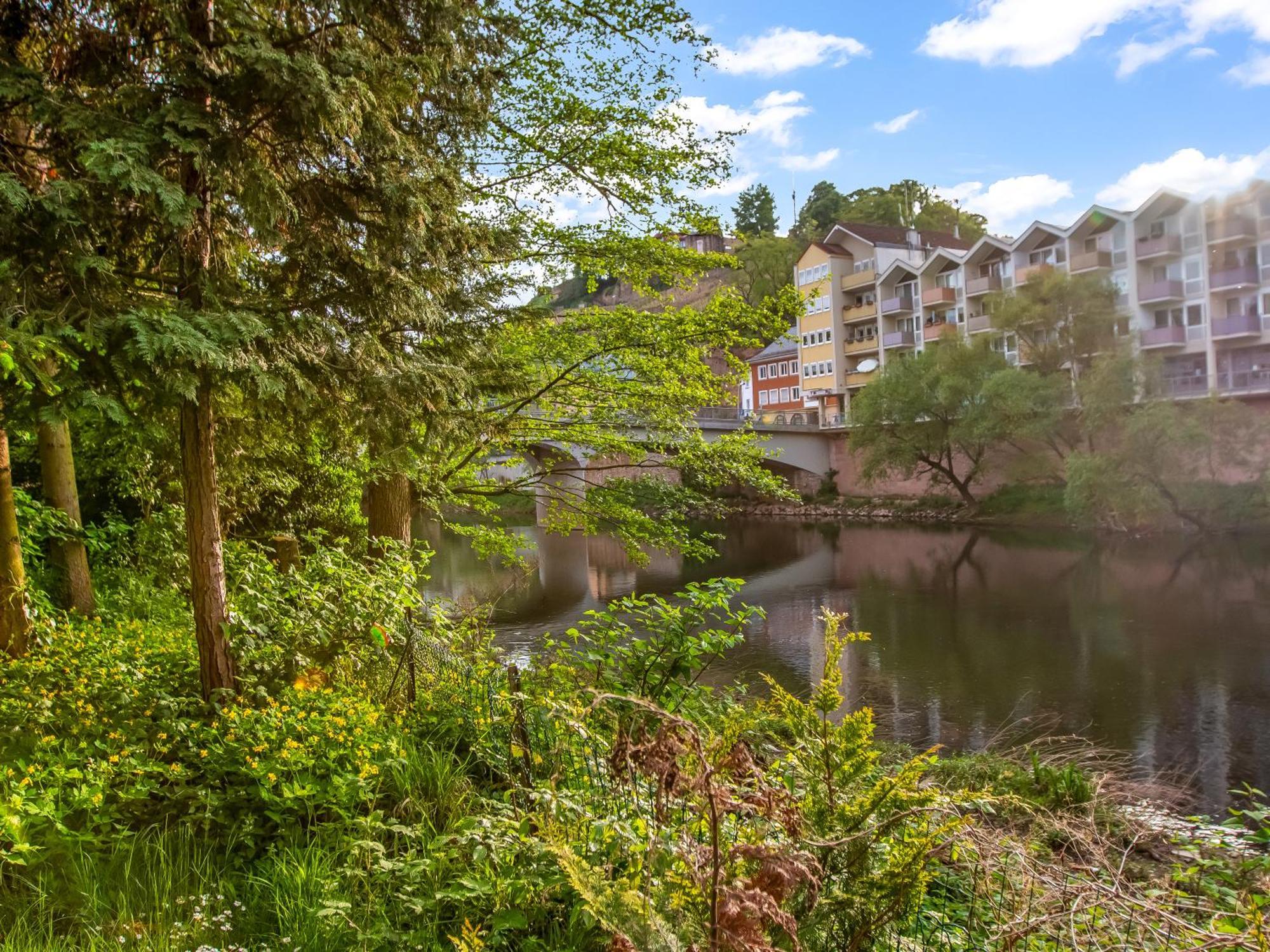 Altstadt Apartment Am Wasser Mit Parkplatz Und Grossem Garten Bad Kreuznach Bagian luar foto